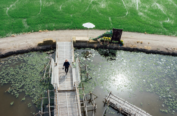 Why Do Schools and Hotels Need Efficient Sewage Treatment Systems?